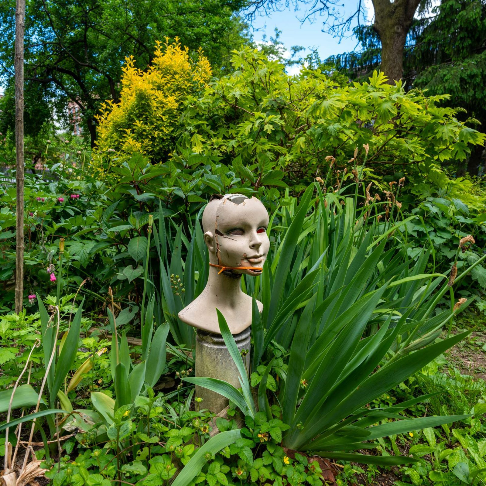 6th Street & Avenue B Community Garden