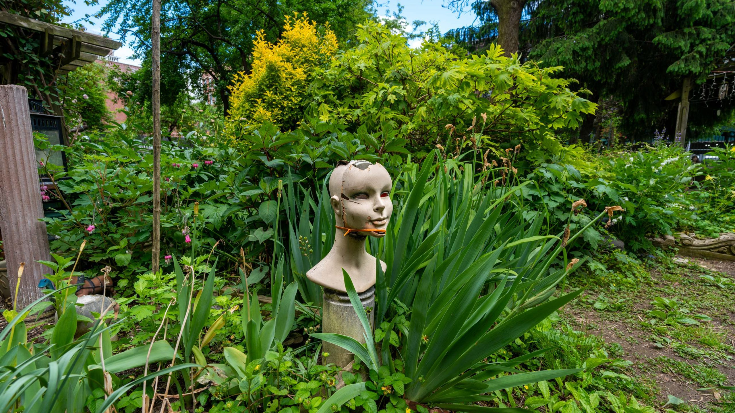 6th Street & Avenue B Community Garden